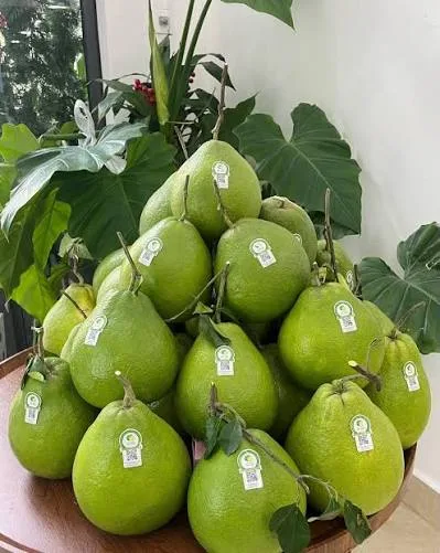 Bao bọc trái chống côn trùng sinh học